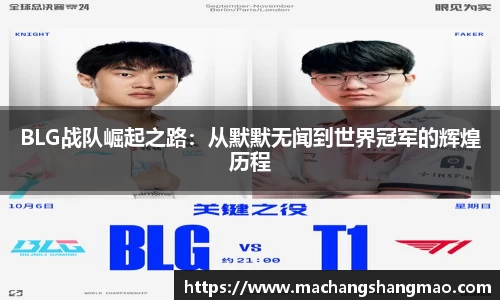 k1体育官方网站
