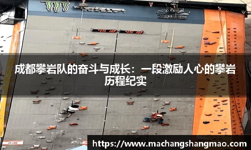 k1体育官方网站
