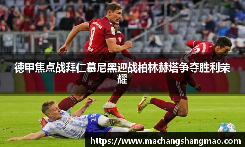 k1体育网页版