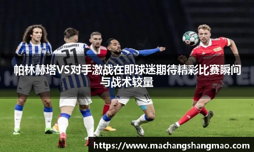 k1体育网页版