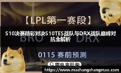k1体育