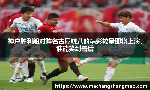 k1体育网页版
