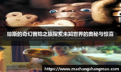 k1体育网页版