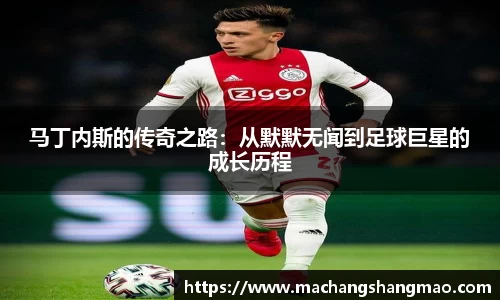 k1体育网页版