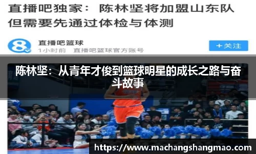 陈林坚：从青年才俊到篮球明星的成长之路与奋斗故事