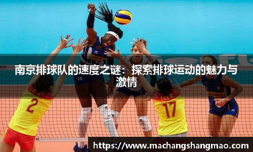 k1体育官方网站