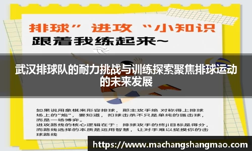 k1体育网页版