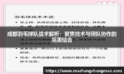 k1体育官方网站