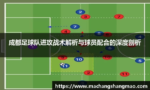 k1体育APP