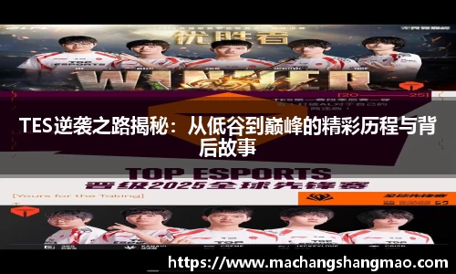 k1体育官方网站