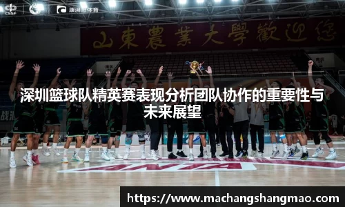 深圳篮球队精英赛表现分析团队协作的重要性与未来展望