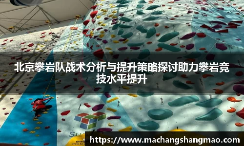 k1体育官方网站